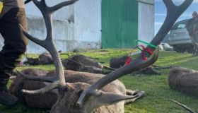 TFEK4974