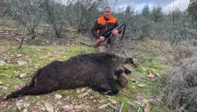 PHOTO-20262
