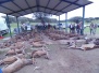La Cortilla de las Casasa (19/10/2024)