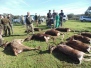 La Herguijuela del Poniente  (08/02/2025)