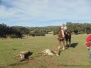 La Herguijuela 1ª del Poniente (02/11/2025)