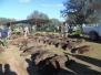 LA PARRILLA-MORALO  (21/01/2023)