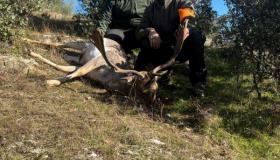 PHOTO-2025-11-29-15-49-04