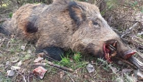 L87