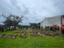 PeñaJara-Cabeza Caballo (24/11/2024)