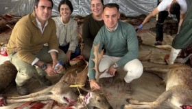 842abc5b-9348-42e6-88a1-f3825e857200