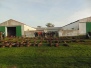 El Sauzal - Mingolla (23/11/2024)