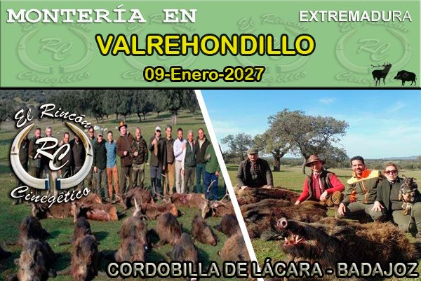 13 Valrehondillo